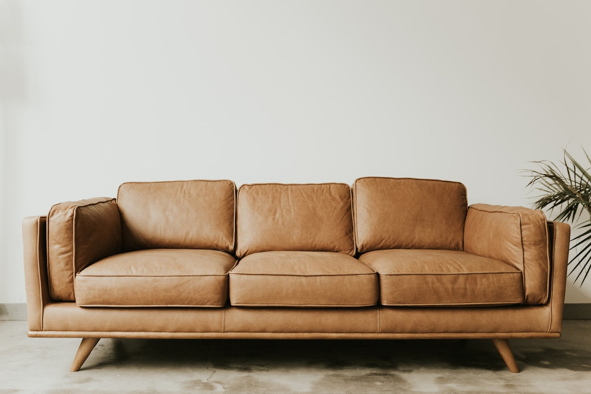 Brooklyn Mid-Century Sofa Bed